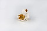 Companion by Pae White contemporary artwork sculpture