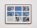 The Monuments of Being Series No.Three by John Akomfrah contemporary artwork Print