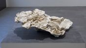 fossil IV by Julia Steiner contemporary artwork Sculpture