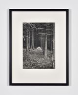 Ameisenstaat by Lothar Baumgarten contemporary artwork photography