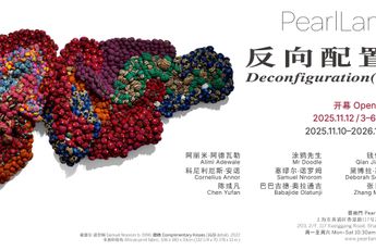 Contemporary art exhibition Alimi Adewale Cornelius Annor Mr Doodle Qian Jiahua Samuel Nnorom Deborah Segun Chen Yufan Deconfigurations at Pearl Lam Galleries Shanghai China
