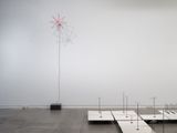 Untitled vanished birdsong 87.6 FM by Dane Mitchell contemporary artwork sculpture