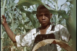 Gordon Parks