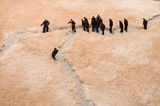 Wondering Where to Go  by Ji Wenyu Zhu Weibing contemporary artwork installation