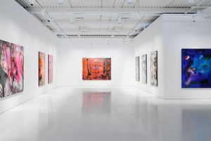 Gow Langsford Gallery contemporary art gallery in Onehunga Auckland New Zealand