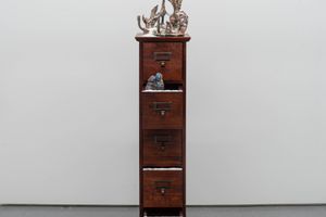 Echo Youyi Yan