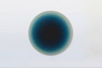 Theo Pinto contemporary artist