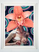 inside another land 17 by Del Kathryn Barton contemporary artwork mixed media