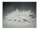 Untitled D24A by Ridho Rizki contemporary artwork painting