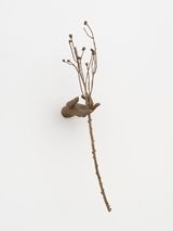 Witness Highview by Kelly Akashi contemporary artwork sculpture