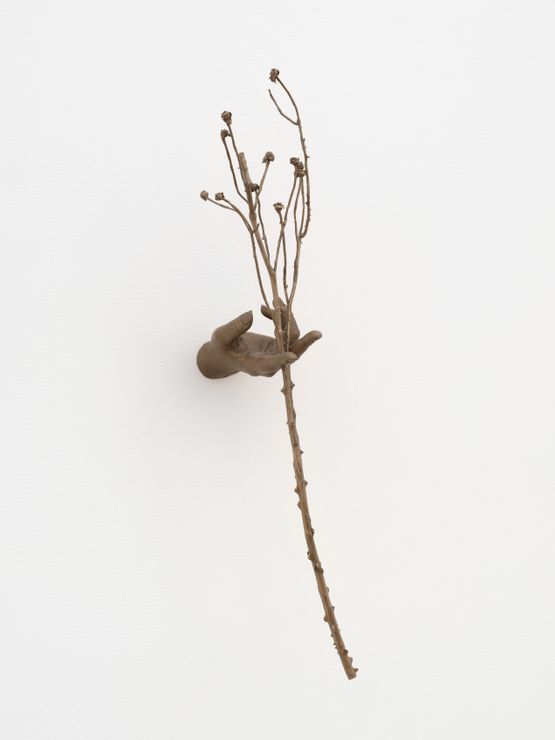 Witness Highview by Kelly Akashi contemporary artwork Sculpture