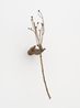 Witness Highview by Kelly Akashi contemporary artwork Sculpture