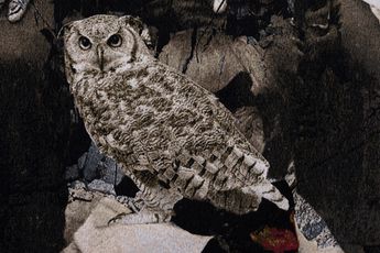 Ailbhe Ni Bhriain contemporary artist