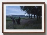 similar disguise stills by Tao Hui contemporary artwork photography