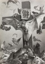 2020 Series by Xia Xiaowan contemporary artwork drawing works on paper