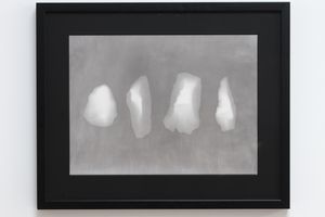 Areta Wilkinson  Mark Adams