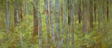 Pink Ash Bloodwood and Bracken by Aj Taylor contemporary artwork Painting