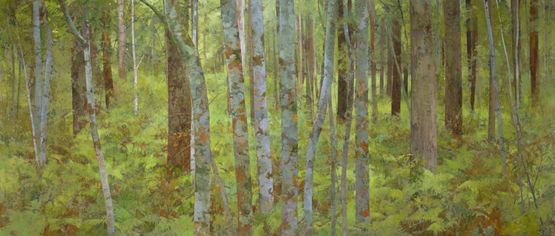 Pink Ash Bloodwood and Bracken by Aj Taylor contemporary artwork Painting