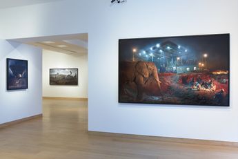 Contemporary art exhibition Nick Brandt This Empty World at Waddington Custot London United Kingdom