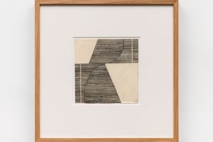 Lygia Pape