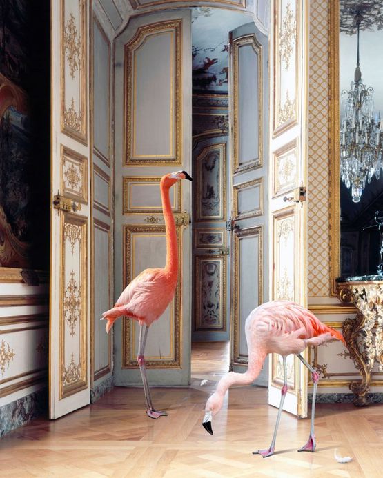 The Battle Gallery 2 Chateau de Chantilly by Karen Knorr contemporary artwork Photography
