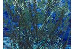 Jason Middlebrook contemporary artist