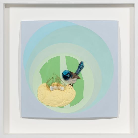 Superb Fairy Wren by Patricia Piccinini contemporary artwork Sculpture
