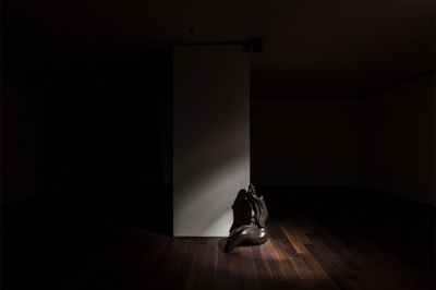 16th Istanbul Biennial Collapses Culture-Nature Divide