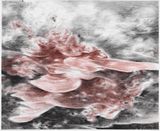 fragment 9 by Julia Steiner contemporary artwork works on paper