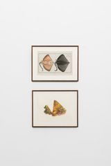 Untitled Raia OxyrinchusMali by Anri Sala contemporary artwork print drawing