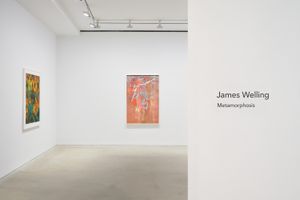 James Welling