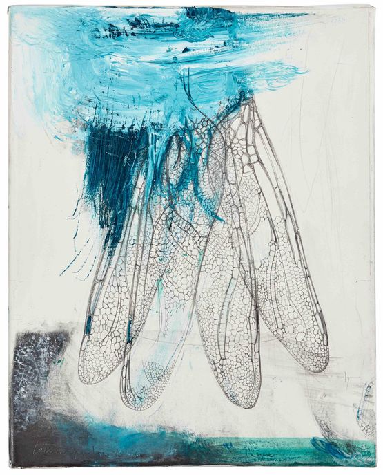 Quattro ali di libellula by Lanfranco Quadrio contemporary artwork Painting
