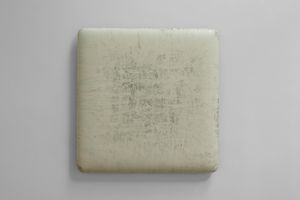 Su Xiaobai