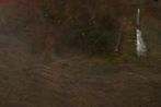 Brett Goodroad contemporary artist