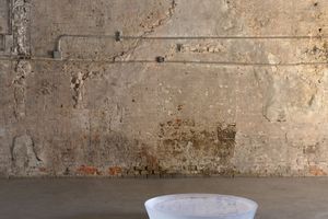 Roni Horn
