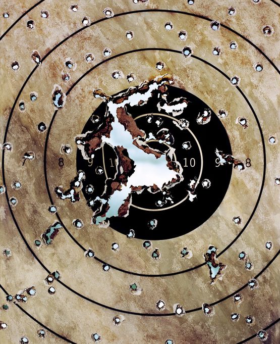 Target from the Series An Abundance of Caution by Sonja Braas contemporary artwork Print