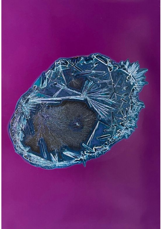 Gaba  Glycin by Sarah Ancelle Schonfeld contemporary artwork Photography