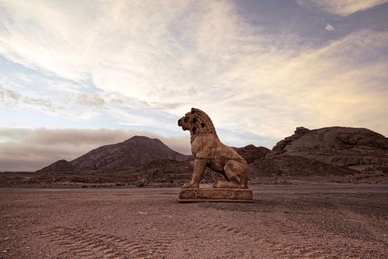 Guardian I. Namib Desert by Nicola Brandt contemporary artwork Print