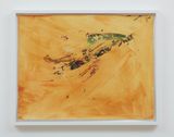 Corydalus Comptus by Jimmie Durham contemporary artwork painting works on paper