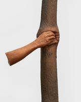 Trattenere 6 8 12 16 anni di crescita Continuera a crescere tranne che in quel punto by Giuseppe Penone contemporary artwork sculpture