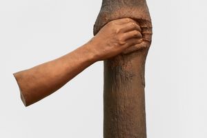 Giuseppe Penone
