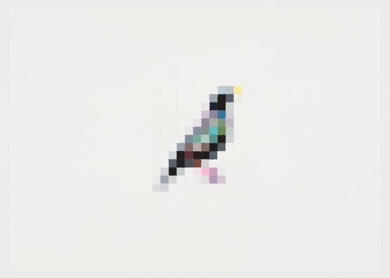 Common Starling by Marcus Coates contemporary artwork Works on Paper