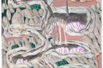 Ha Ninh Pham contemporary artist