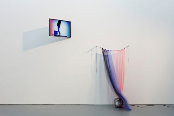 Becoming Public Actor  The Female has Undergone Several Manifestations by Alicia Frankovich contemporary artwork Installation