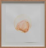 seed ix by Yasam Sasmazer contemporary artwork painting works on paper