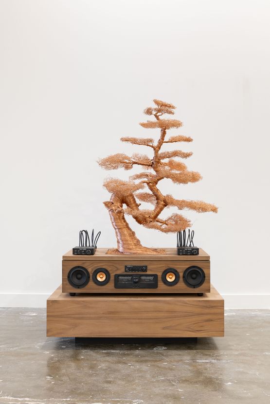 Audio Bonsai 005 by Daniel Arsham contemporary artwork Sculpture