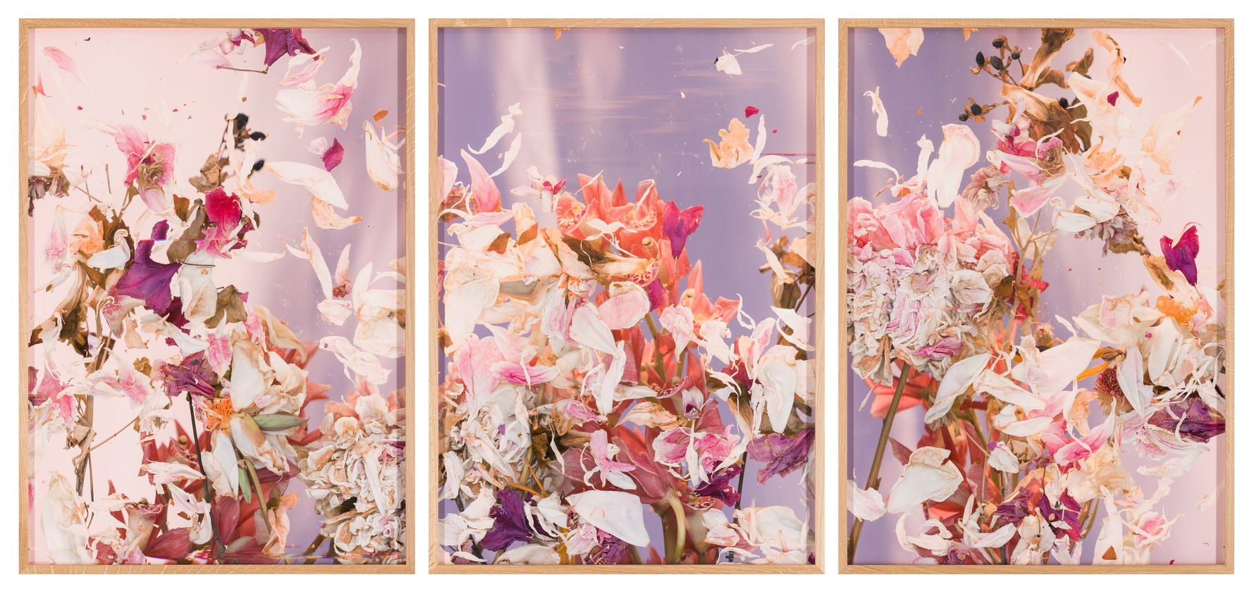Group Exhibition