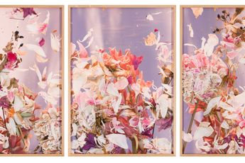 Contemporary art exhibition Group Exhibition First Light at Ames Yavuz Sydney Australia