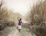 Luva Exploring the River Bank by Vasantha Yogananthan contemporary artwork print