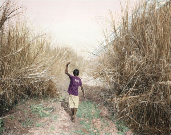 Luva Exploring the River Bank by Vasantha Yogananthan contemporary artwork Print